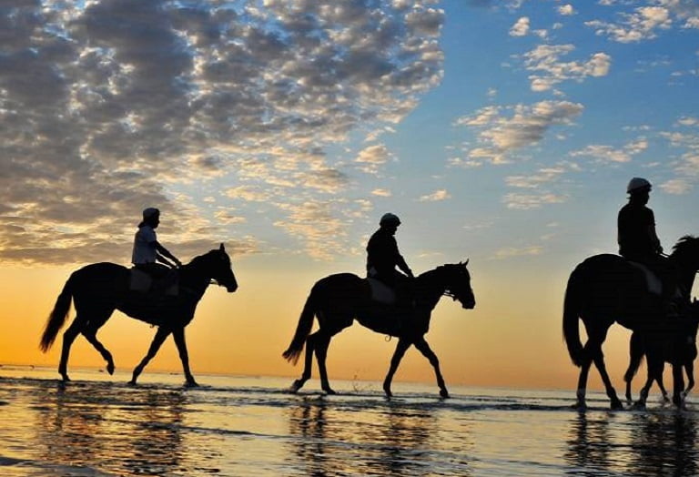 great ocean road scenery drive and sight seeing destination