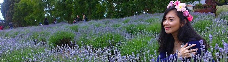 try lavender scones at this farm