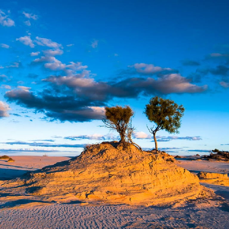 See the Australian desert at Mungo Brush National Park