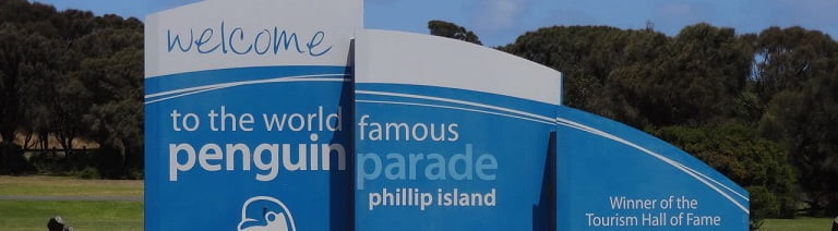 visit the phillip island penguin parade