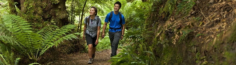 take a walk in the forrest near melbourne