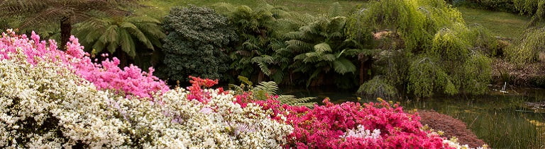 a touch of colour on a tour from melbourne