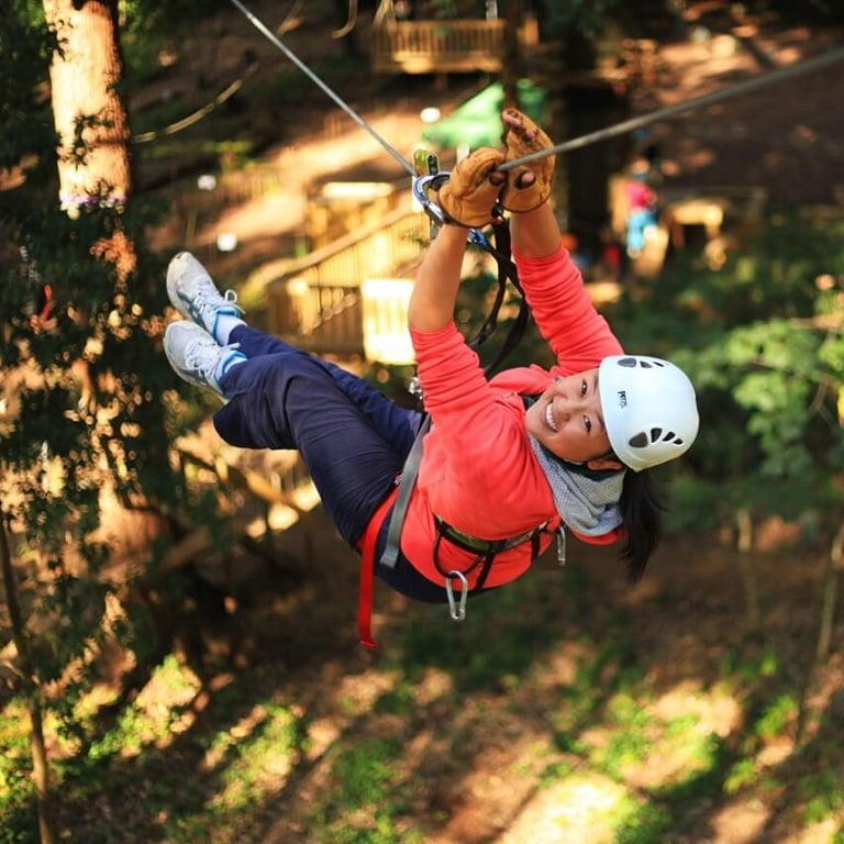 Tree top adventure park at Belgrave Victoria