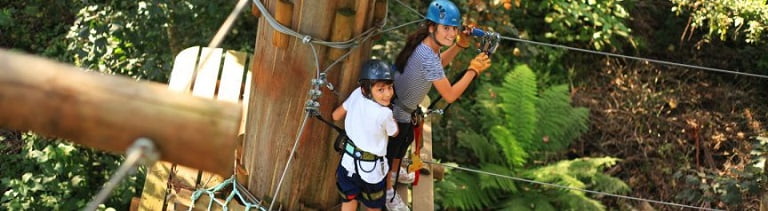 fly through the sky family fun at the tree tops adventure park